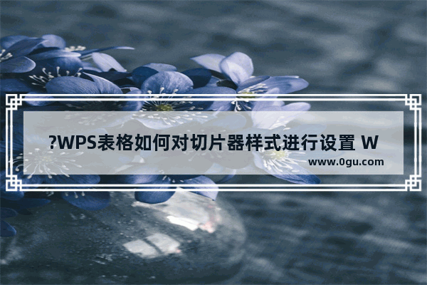 ?WPS表格如何对切片器样式进行设置 WPS Excel调整切片器样式的方法教程