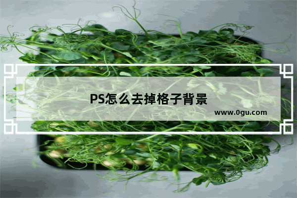 PS怎么去掉格子背景