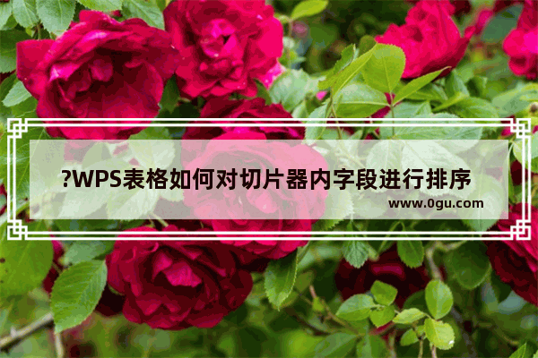 ?WPS表格如何对切片器内字段进行排序 WPS Excel对切片器字段进行升序或者降序排序的方法教程