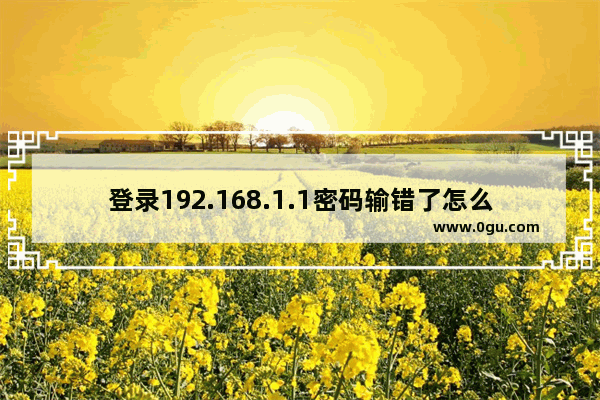 登录192.168.1.1密码输错了怎么办