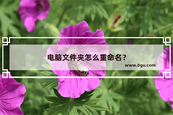 电脑文件夹怎么重命名？