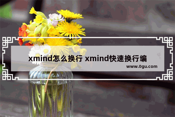 xmind怎么换行 xmind快速换行编辑文字的方法