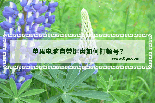 苹果电脑自带键盘如何打顿号？