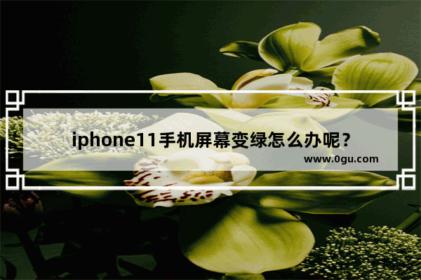 iphone11手机屏幕变绿怎么办呢？