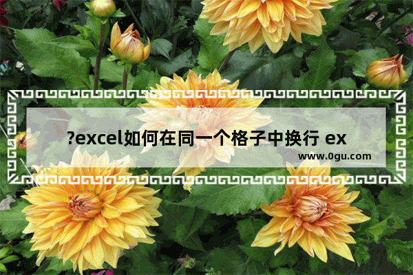 ?excel如何在同一个格子中换行 excel换行用一个格子的方法