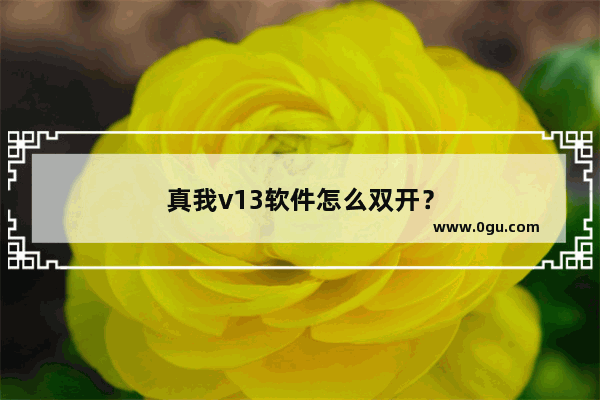 真我v13软件怎么双开？