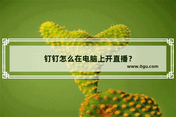 钉钉怎么在电脑上开直播？