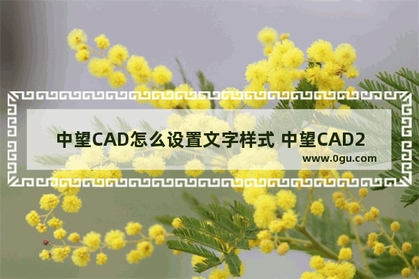 中望CAD怎么设置文字样式 中望CAD2023设置文字样式的方法