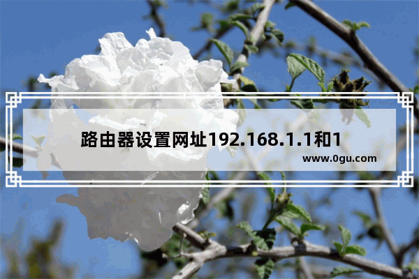 路由器设置网址192.168.1.1和192.168.0.1