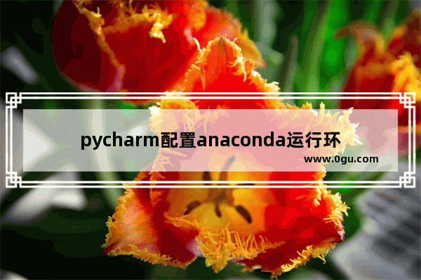 pycharm配置anaconda运行环境 Pycharm配置Anaconda环境的方法