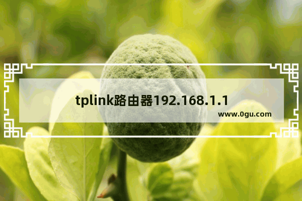 tplink路由器192.168.1.1打不开(tp路由器192.168.1.1进不去)