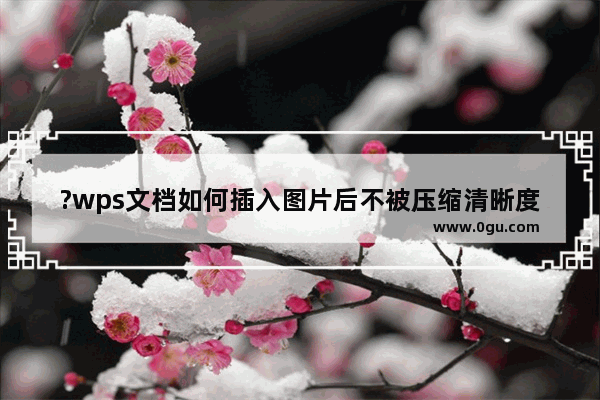 ?wps文档如何插入图片后不被压缩清晰度 wps不压缩文档图片的设置方法