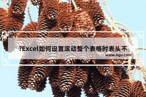 ?Excel如何设置滚动整个表格时表头不动 Excel冻结表头的方法教程