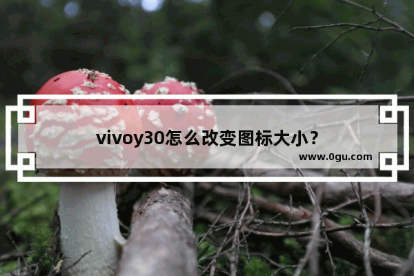 vivoy30怎么改变图标大小？