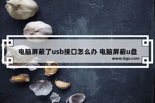 电脑屏蔽了usb接口怎么办 电脑屏蔽u盘怎么恢复正常