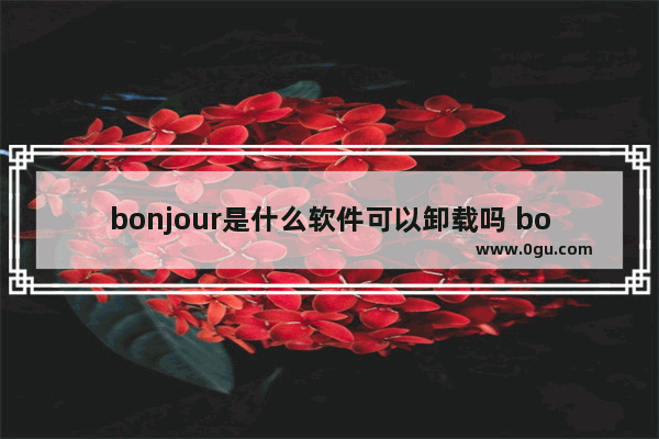 bonjour是什么软件可以卸载吗 bonjour软件卸载问题详细介绍