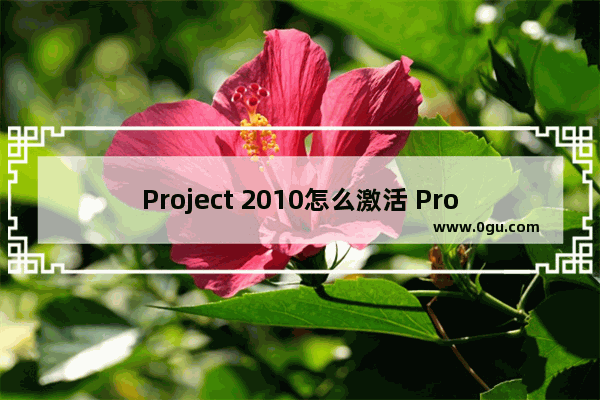 Project 2010怎么激活 Project 2010激活密钥大全分享