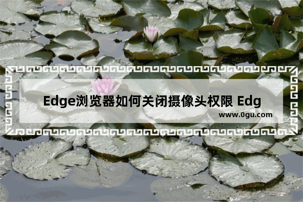 Edge浏览器如何关闭摄像头权限 Edge浏览器关闭摄像头权限的方法