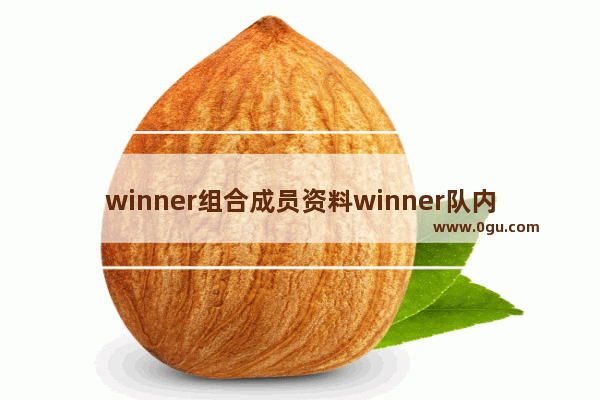 winner组合成员资料winner队内人气排名