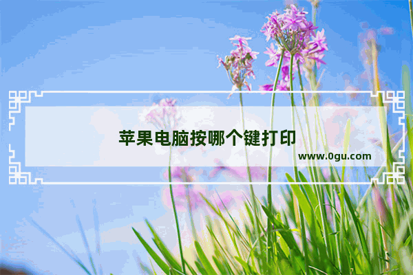 苹果电脑按哪个键打印