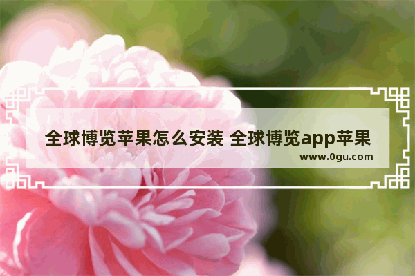 全球博览苹果怎么安装 全球博览app苹果手机怎么下载