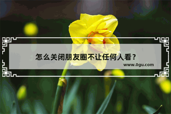 怎么关闭朋友圈不让任何人看？