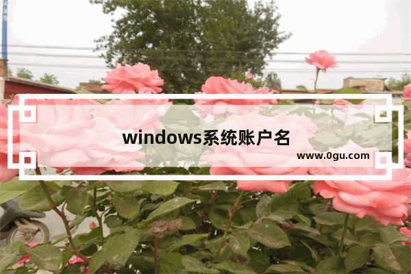 windows系统账户名