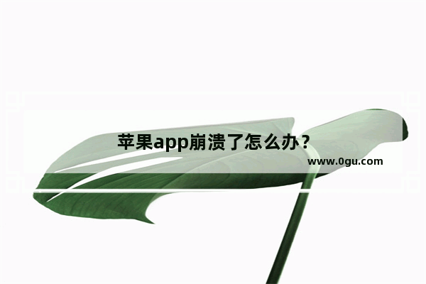 苹果app崩溃了怎么办？