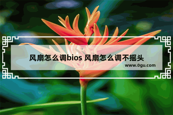 风扇怎么调bios 风扇怎么调不摇头