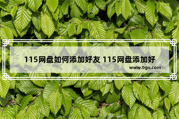 115网盘如何添加好友 115网盘添加好友的方法