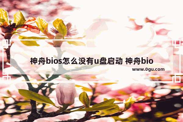 神舟bios怎么没有u盘启动 神舟bios没有硬盘启动项