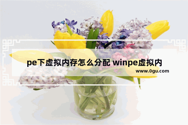 pe下虚拟内存怎么分配 winpe虚拟内存不足