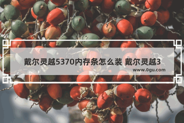 戴尔灵越5370内存条怎么装 戴尔灵越3537加内存条