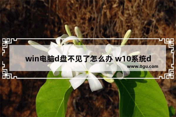 win电脑d盘不见了怎么办 w10系统d盘不见了