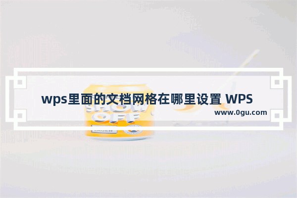 wps里面的文档网格在哪里设置 WPS Word设置文档网格的方法