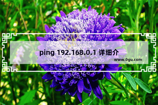 ping 192.168.0.1 详细介绍（图文教程）