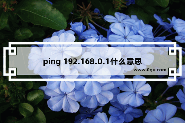 ping 192.168.0.1什么意思