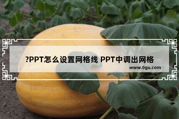 ?PPT怎么设置网格线 PPT中调出网格线的方法教程