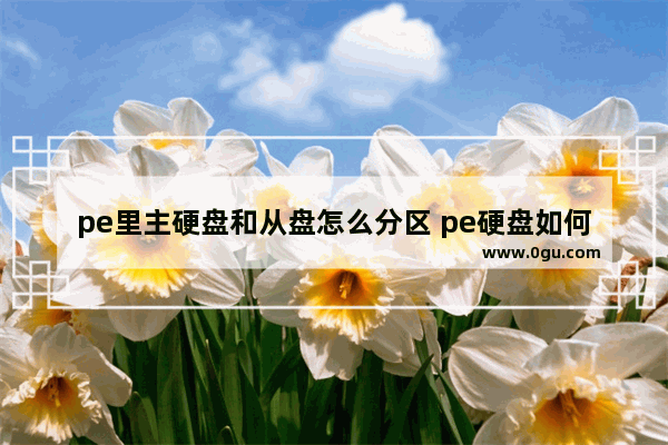 pe里主硬盘和从盘怎么分区 pe硬盘如何分区