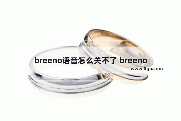 breeno语音怎么关不了 breeno语音怎么关掉