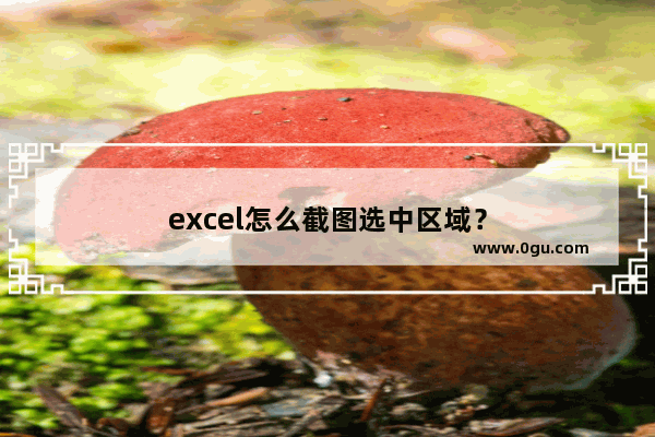 excel怎么截图选中区域？