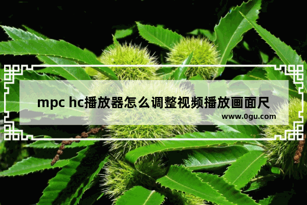 mpc hc播放器怎么调整视频播放画面尺寸 mpc hc播放器调整视频播放画面尺寸的方法