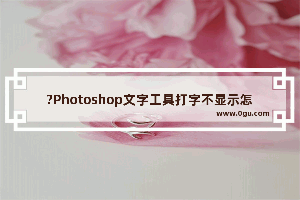 ?Photoshop文字工具打字不显示怎么回事 PS解决打不上字的方法教程