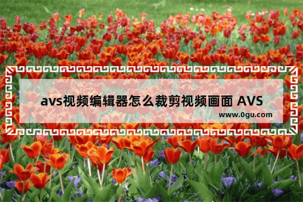 avs视频编辑器怎么裁剪视频画面 AVS Video Editor设置视频画面尺寸的方法