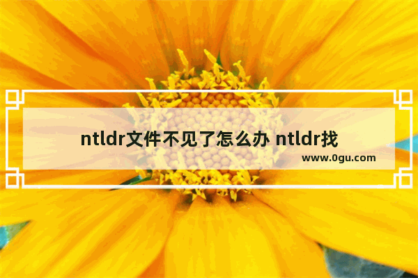 ntldr文件不见了怎么办 ntldr找不到最简单解决方法