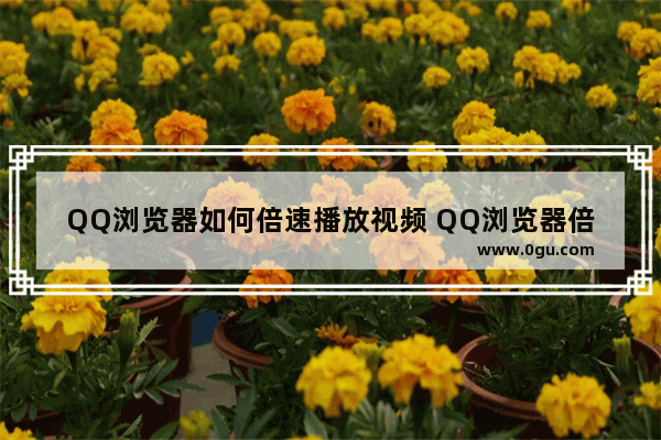 QQ浏览器如何倍速播放视频 QQ浏览器倍速播放视频的方法