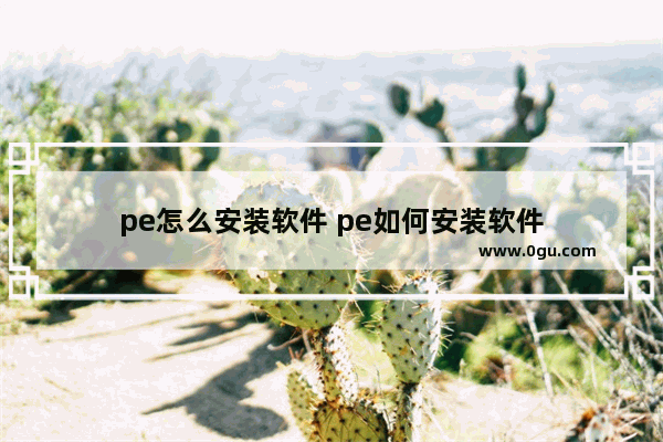 pe怎么安装软件 pe如何安装软件