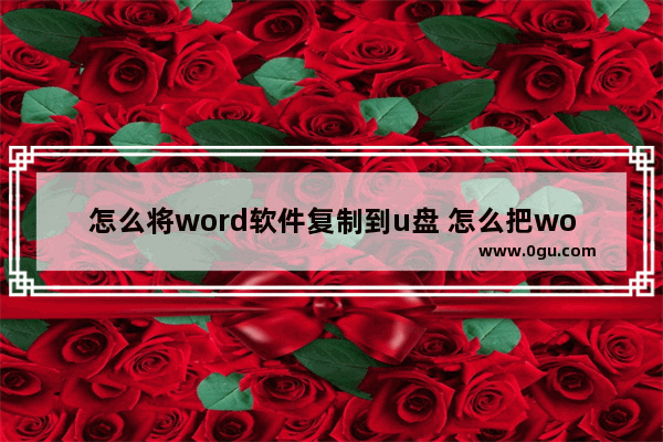 怎么将word软件复制到u盘 怎么把word软件传给别人