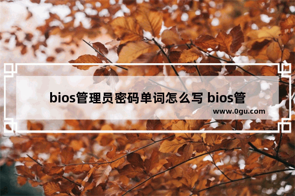 bios管理员密码单词怎么写 bios管理员密码忘了怎么办