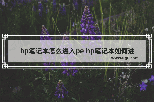 hp笔记本怎么进入pe hp笔记本如何进入pe